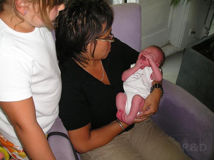 Imme 18 juli 2006 (19).JPG